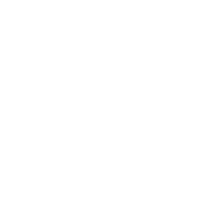 Mephisto Schuhe